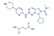 Ribociclib succinate chemical structure