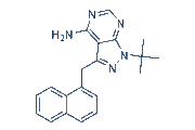 1-NM-PP1 chemical structure