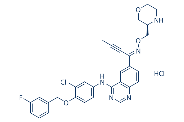 Epertinib hydrochloride chemical structure