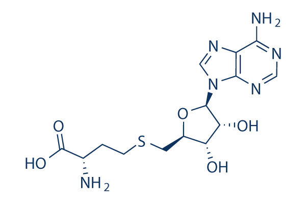 SAH (S-Adenosyl-L-homocysteine) chemical structure