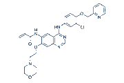 Tuxobertinib (BDTX-189) chemical structure