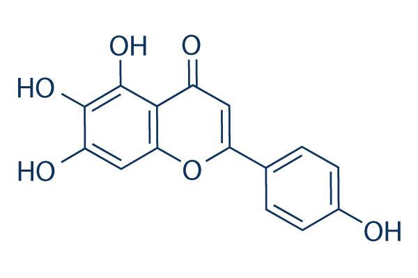 Scutellarein chemical structure