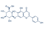 Scutellarin chemical structure