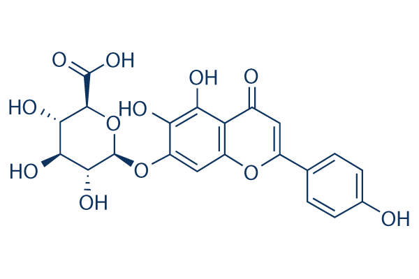 Scutellarin chemical structure