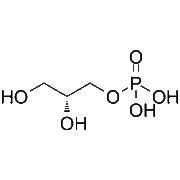 sn-Glycerol 3-phosphate
