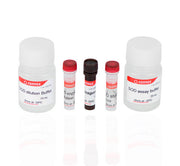 SOD Activity Assay Kit