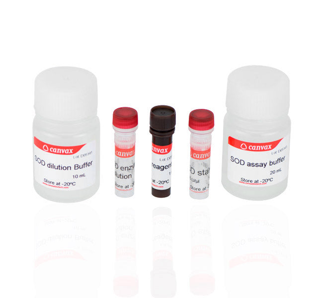 SOD Activity Assay Kit