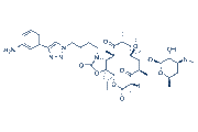 Solithromycin chemical structure
