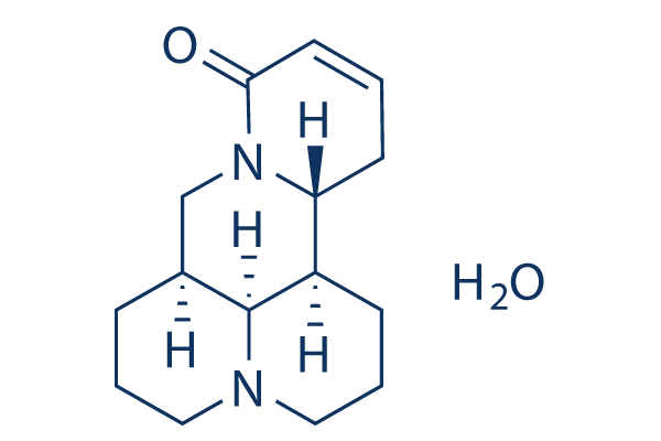 Sophocarpine Monohydrate chemical structure