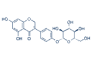 Sophoricoside chemical structure