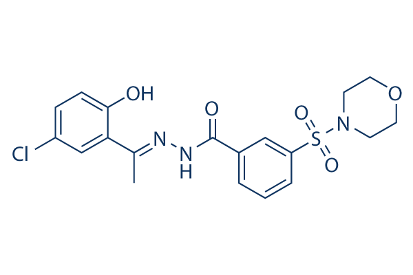 SP2509 chemical structure