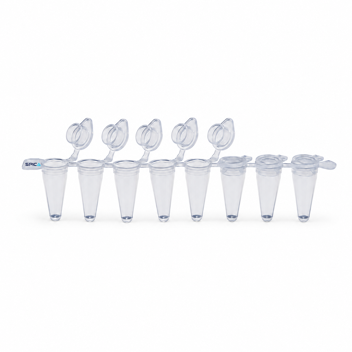 8-strip PCR Tubes - SP-137-438C(EX) - SPICA