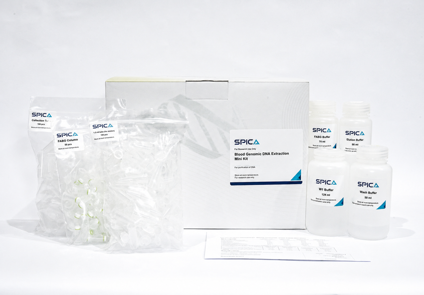 Blood Genomic DNA Extraction Mini Kit | SPICA