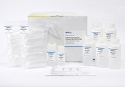 SPICA Endotoxin-Free Plasmid Extraction Midi Kit