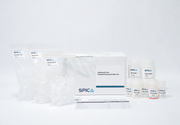 SPICA Endotoxin-Free Plasmid Extraction Mini Kit