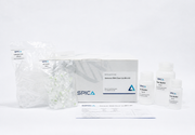 SPICA Genomic DNA Clean Up Mini Kit