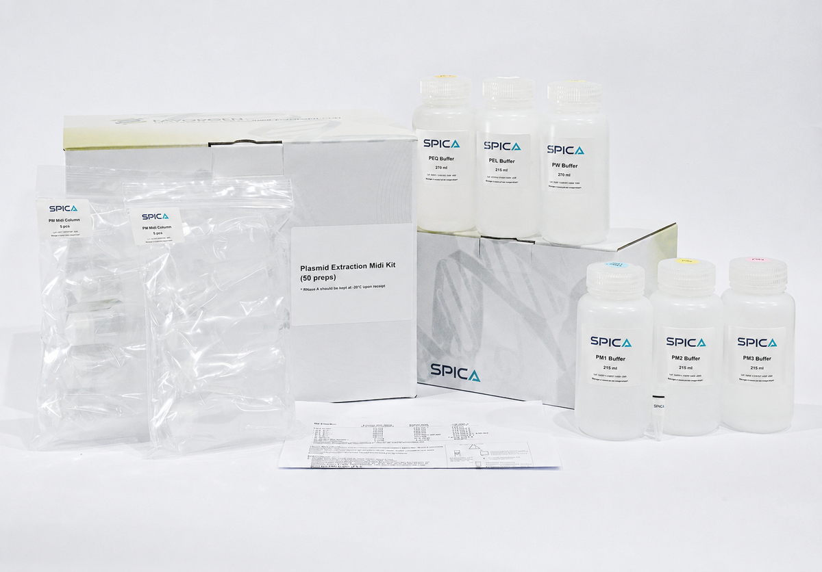 SPICA Plasmid Extraction Midi Kit