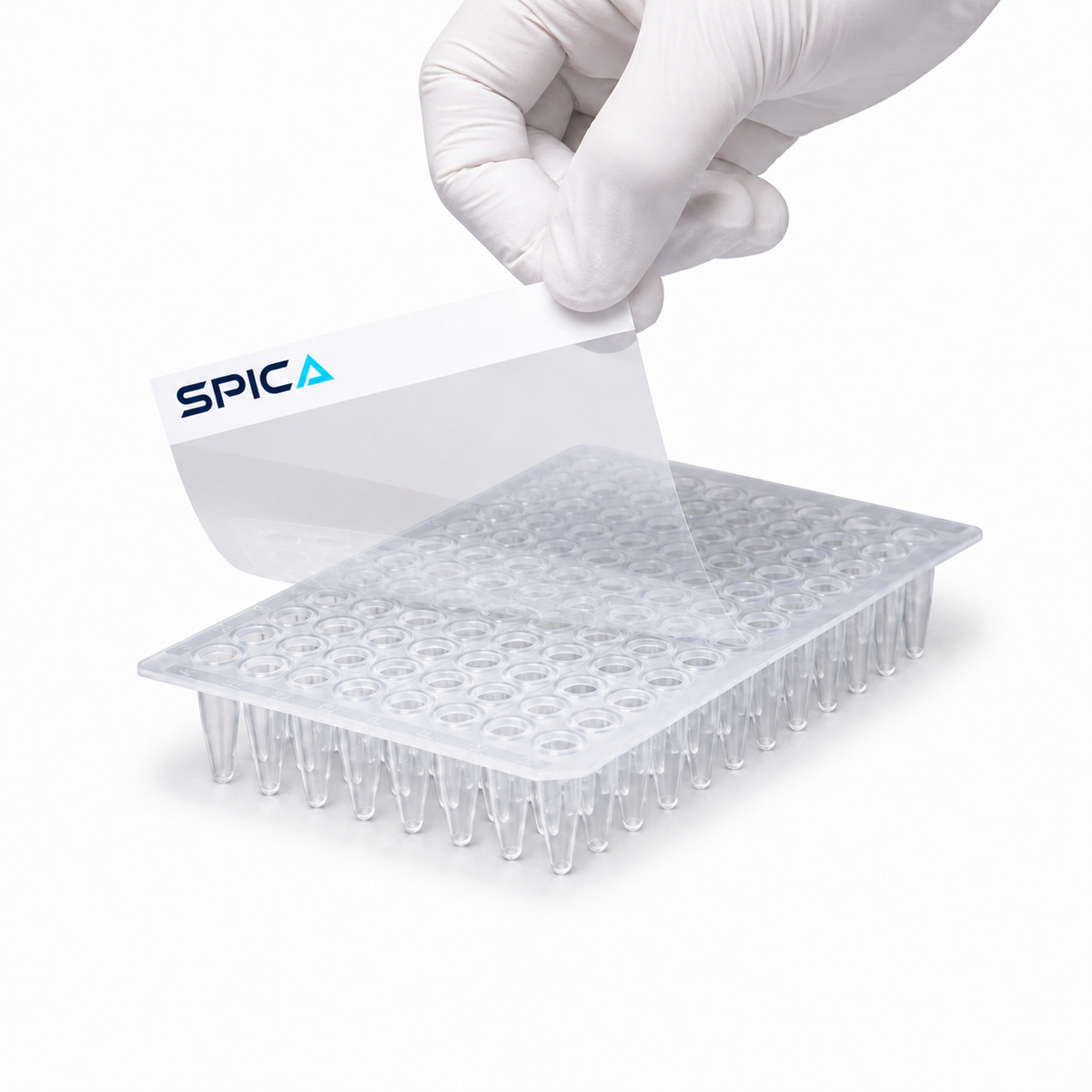Plate Seals - SP-547-KTS-HC - SPICA