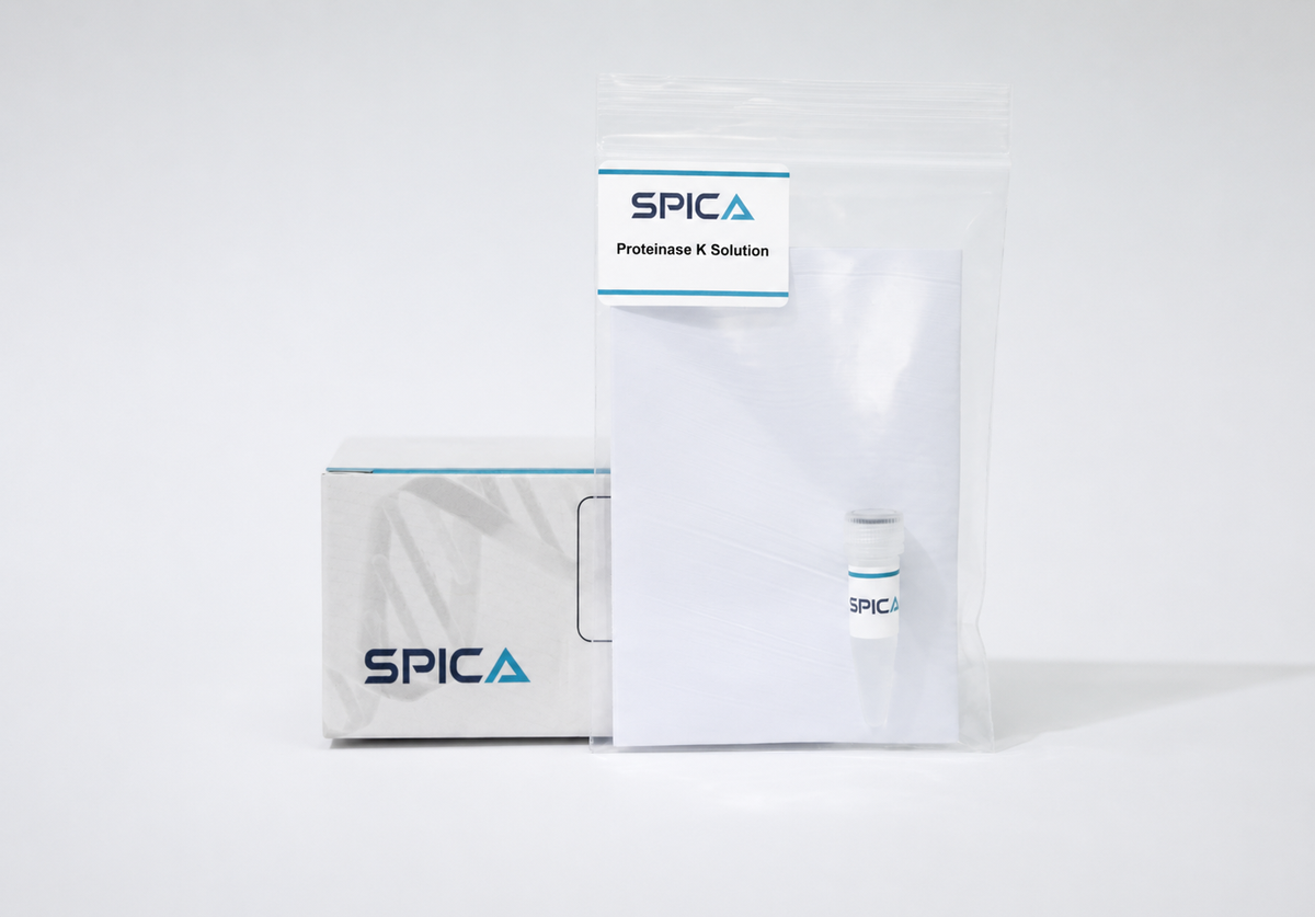 SPICA Proteinase K Solution