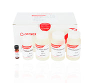 SRB Cytotoxicity Assay Kit