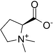Stachydrine