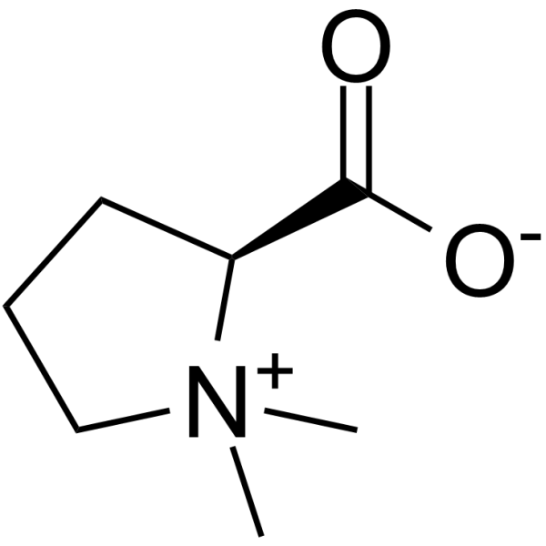 Stachydrine
