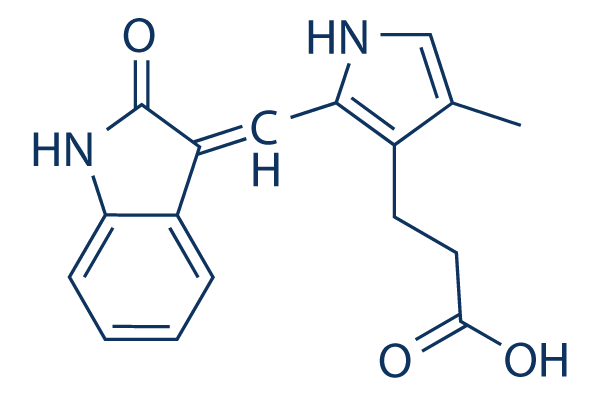SU5402 chemical structure