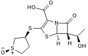 Sulopenem