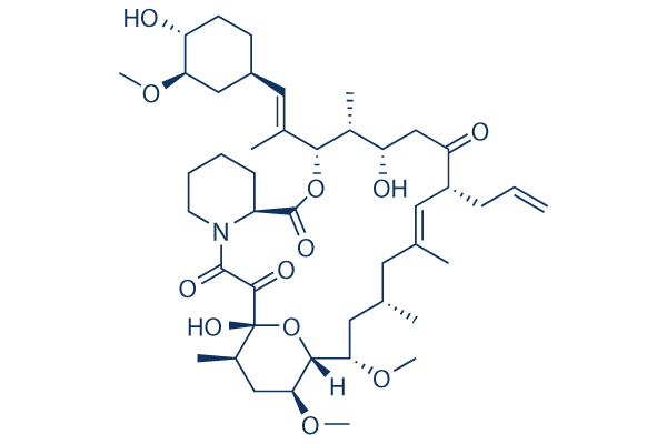 Tacrolimus (FK506) chemical structure