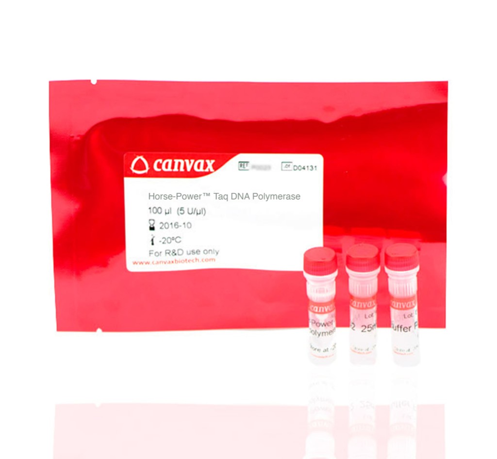 Horse-Power™ Taq DNA Polymerase