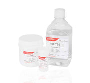 TBS with Tween™ 20 (pH 7.4) (20x)