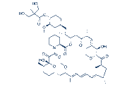 Temsirolimus chemical structure