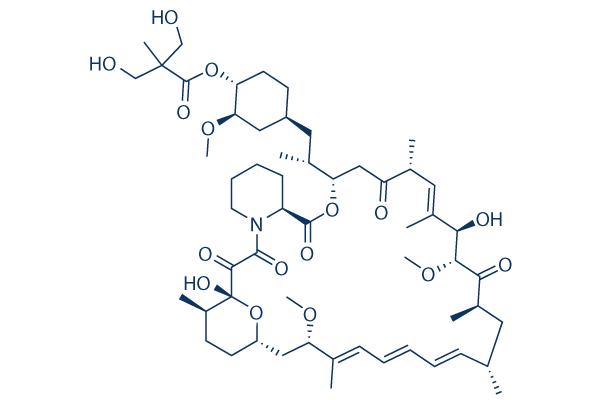 Temsirolimus chemical structure