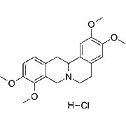 Tetrahydropalmatine hydrochloride