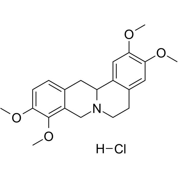 Tetrahydropalmatine hydrochloride