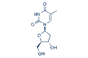 Thymidine chemical structure