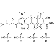 Tigecycline tetramesylate