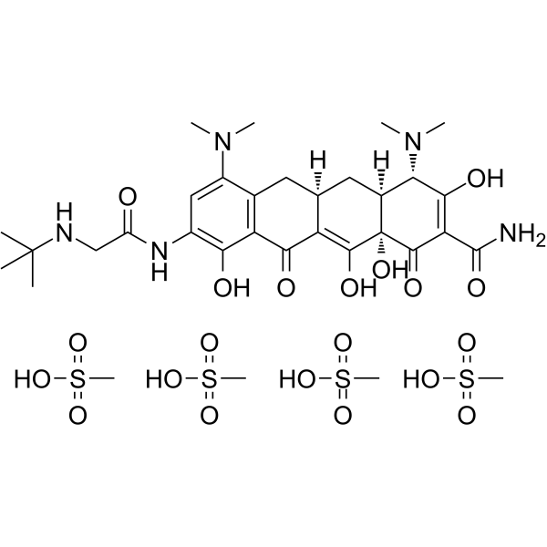 Tigecycline tetramesylate