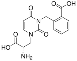UBP302