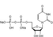 UDP disodium salt