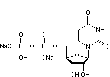 UDP disodium salt