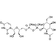 UDP-GlcNAc Disodium Salt