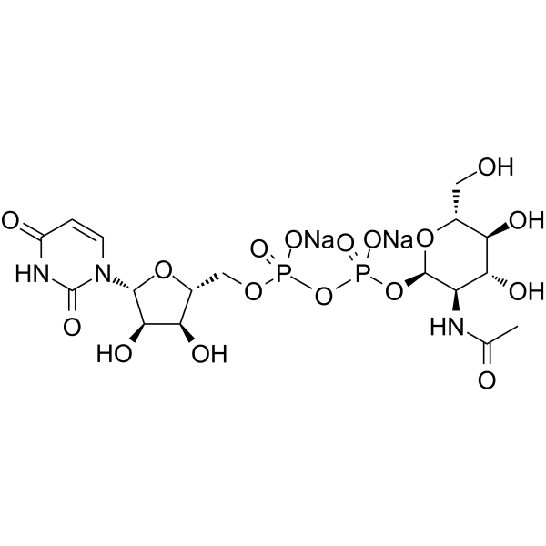 UDP-GlcNAc Disodium Salt