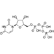 Uridine triphosphate