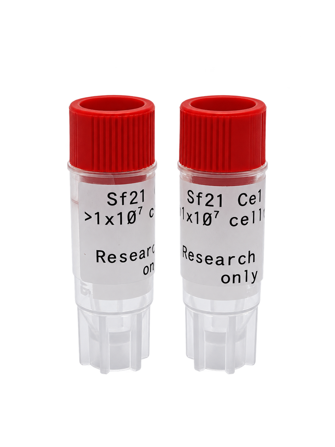 Sf21 Cells — transparent background