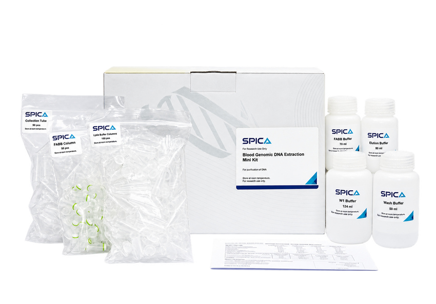 Blood Genomic DNA Extraction Mini Kit | SPICA