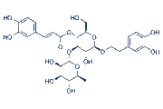 Verbascoside chemical structure