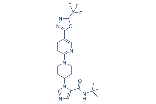 WNK463 chemical structure