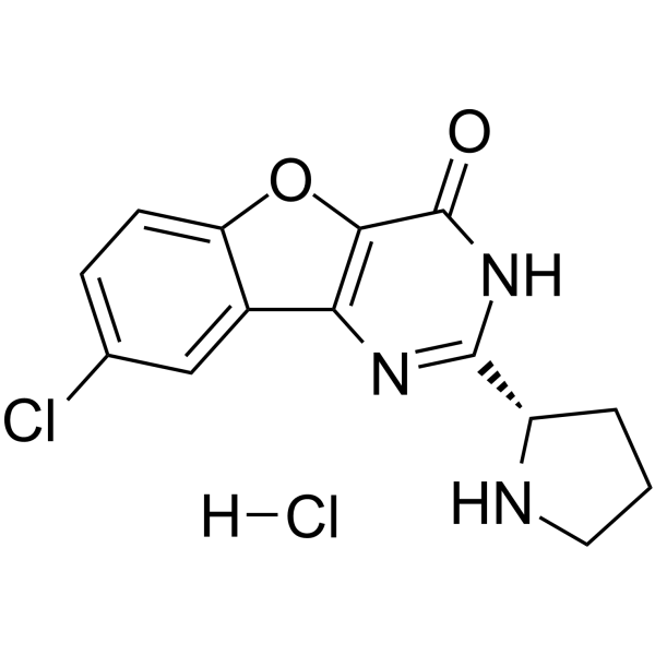 XL413 hydrochloride