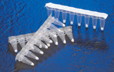 Lyophilized hot-start Taq PCR master mix - PCR - Takara Bio